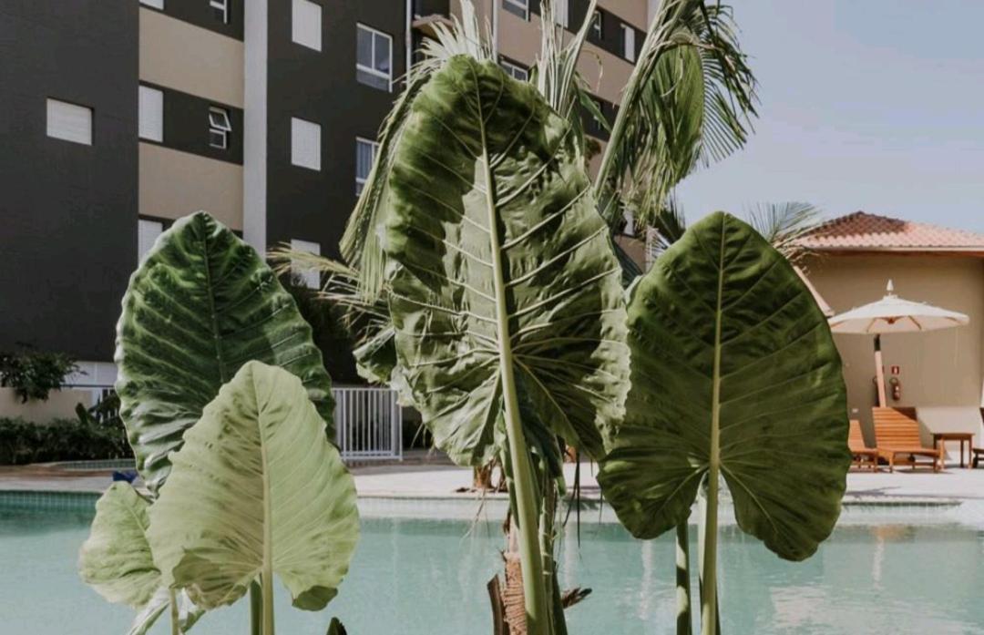 Jardim Das Palmeiras II Home Resort Ubatuba Kültér fotó